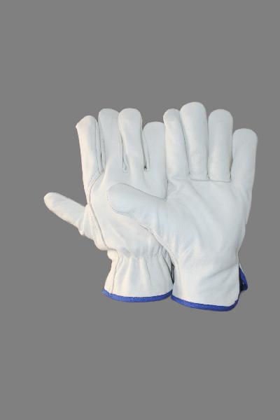 EW-DC72 Driving Gloves
