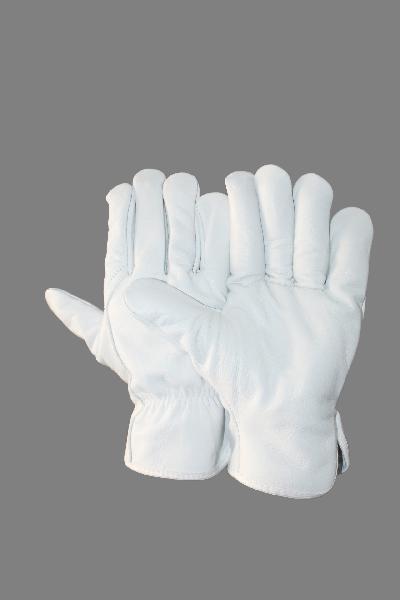 EW-DN72 Nappa Leather Gloves