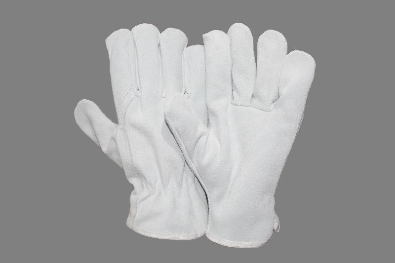 EW-DS71 Driving Gloves, Size : 10 inch