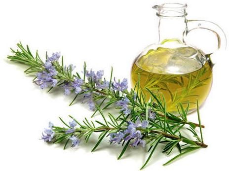 Rosemary Oil