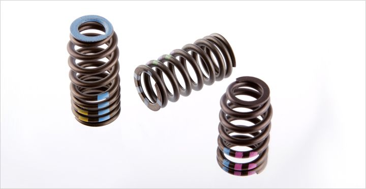 Valve Springs