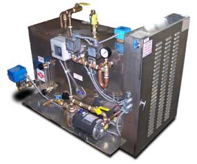 LB 40-60 Electro-Steam generator