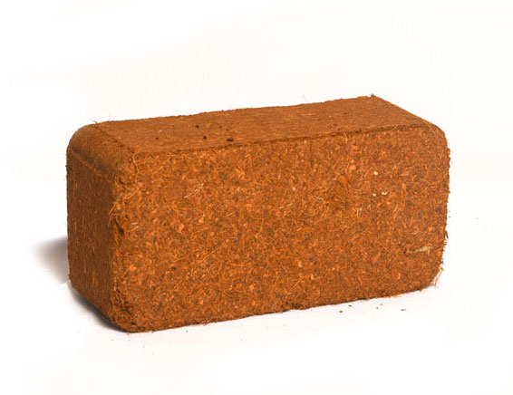 coir peat briquettes