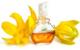 ylang ylang oil