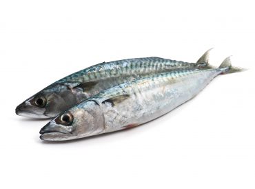 Sardines Fish
