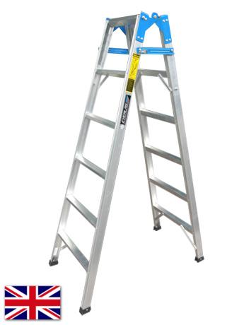 dual purpose ladder