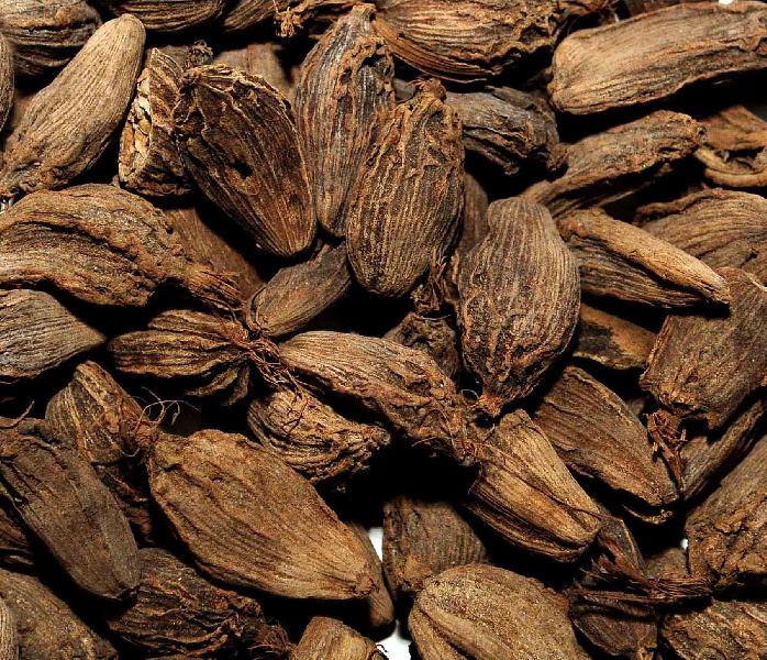 black cardamom