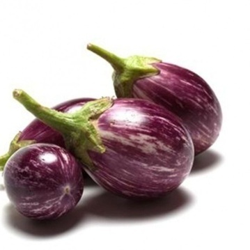 fresh brinjal