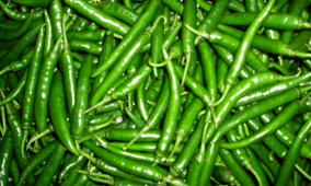 Long Green Chilli