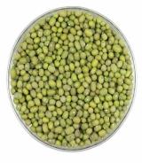 Green MILLET,green millet