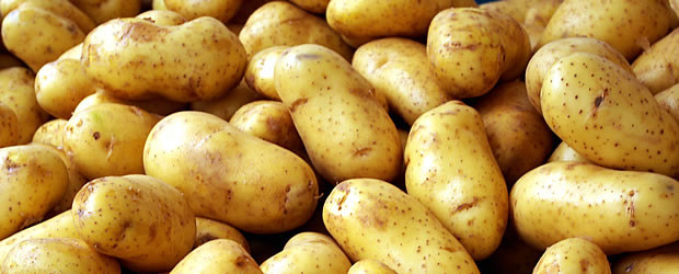 Fresh potato