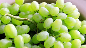 Common Fresh Green Grapes