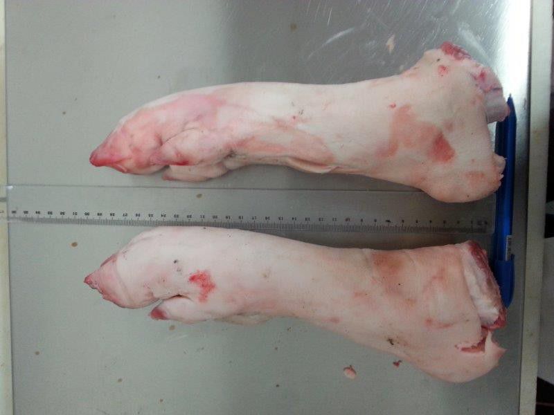 Frozen Pork Hind Feet Buy frozen pork hind feet,Frozen Pork Meat in