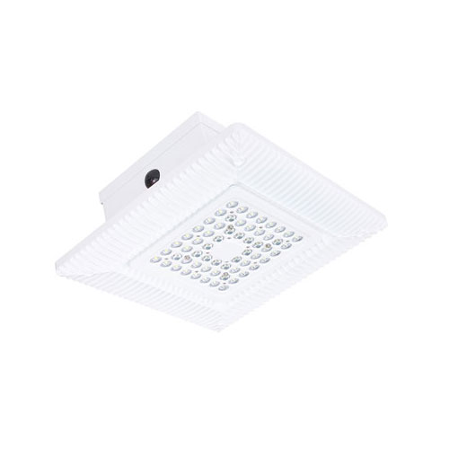 Fue LED ceiling Lighting