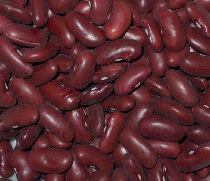 dark red kidney beans