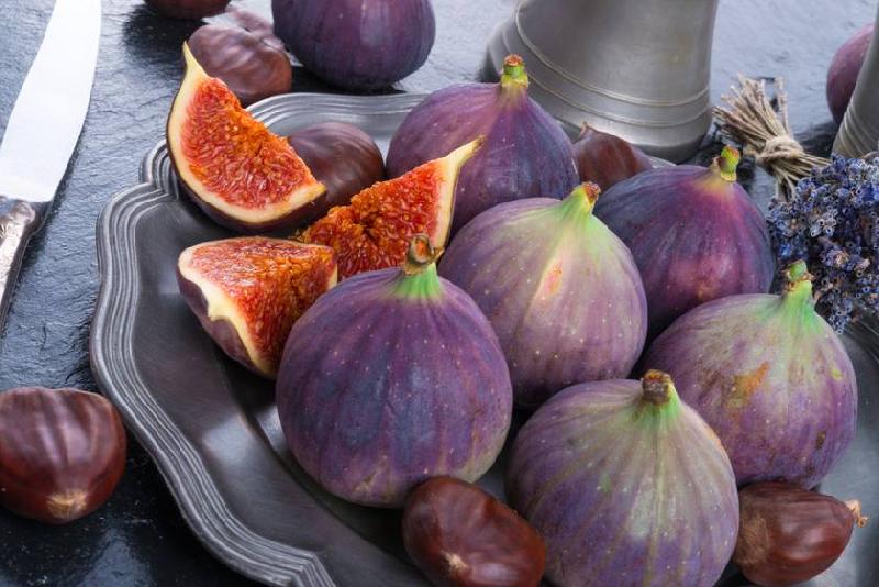 Fresh Figs Buy Fresh Figs in Tashkent Uzbekistan from Silk Road Fruits