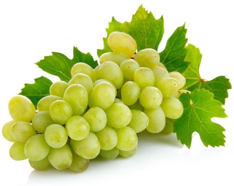 fresh green grapes