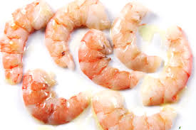 Live Shrimps