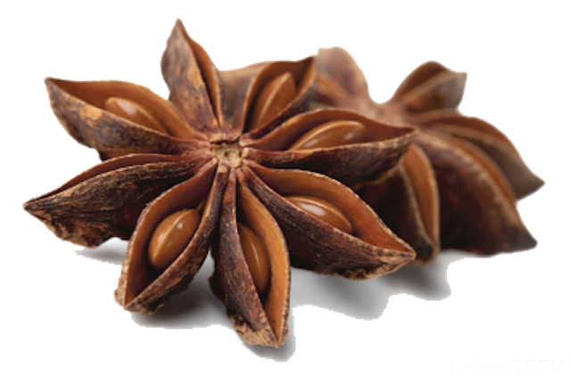 star-anise-seeds-manufacturer-in-chennai-tamil-nadu-india-by-chendur