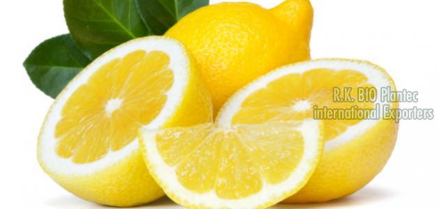 Lemon export