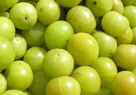 indian gooseberry in arabic