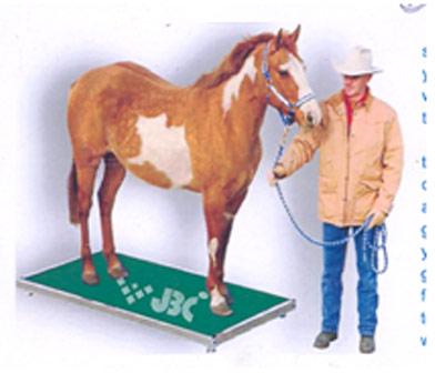 Stud Weighing Scale
