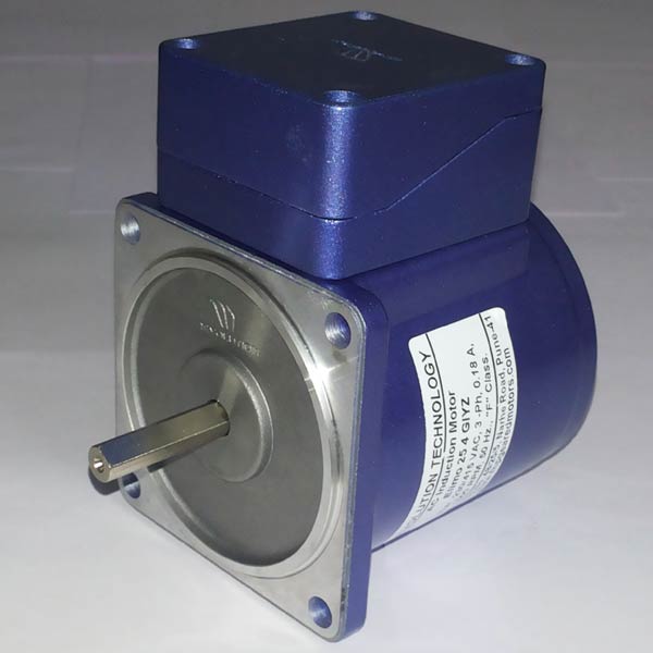 A C induction Motor