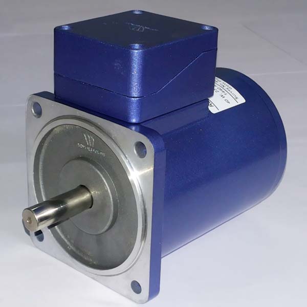 25 Watt : Induction Motor