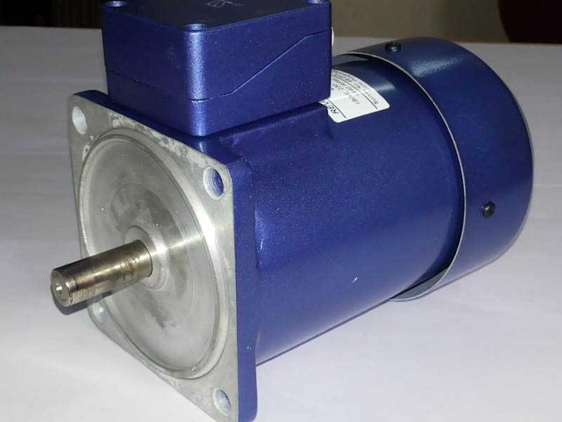 A C induction Motor