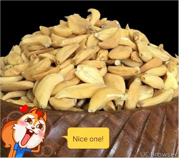 Dehydrated Vegetables by Seasons Fresh Export, Dehydrated Vegetables