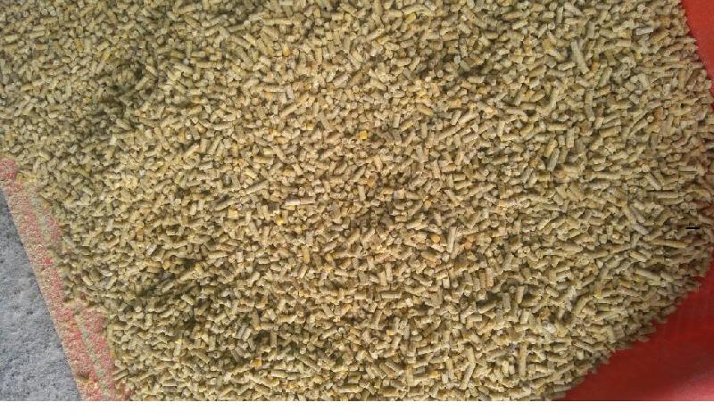 Maize pellete cattle feed