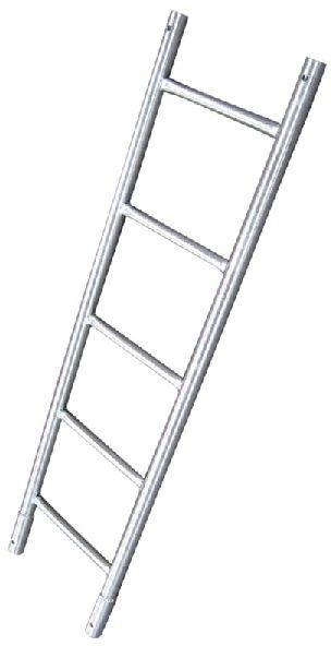 Scaffold ladder
