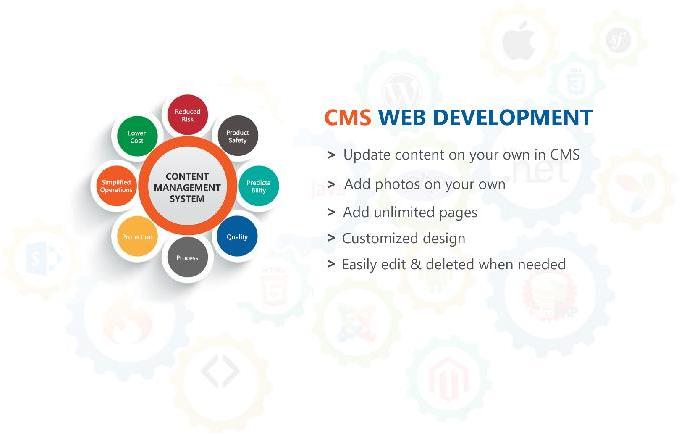 Web Designing and Development Services