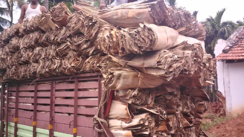 Areca Leaf Raw Materials