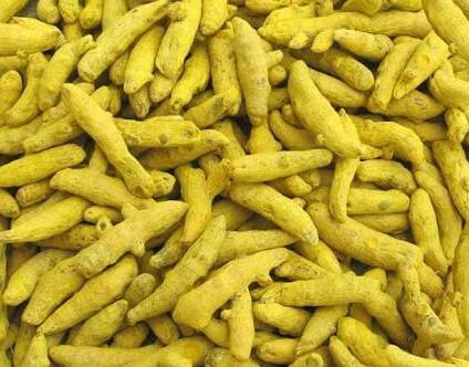 turmeric finger