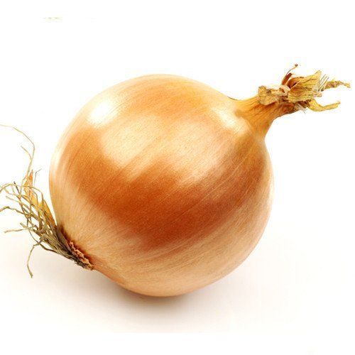 Light Brown Onion