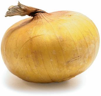 Vidalia Onion