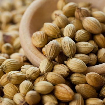 coriander seeds