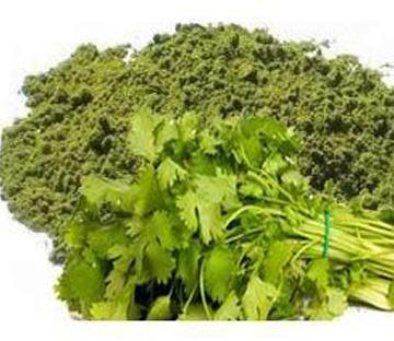 SPRAY DRIED CORIANDER POWDER