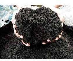 Organic manure