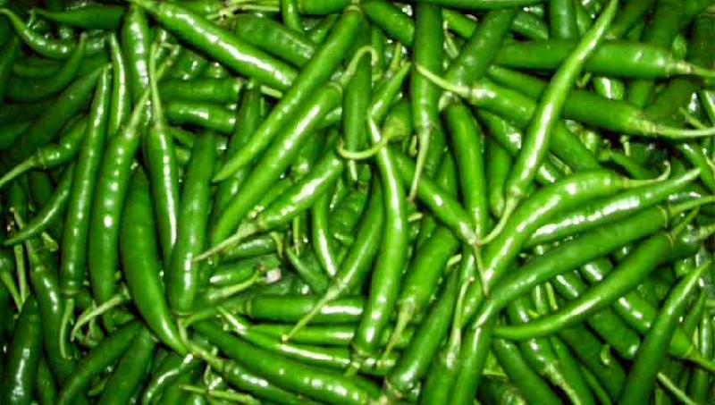 green chilli