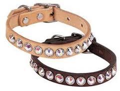 Dog Collars