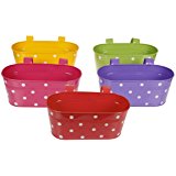 Dotted planter