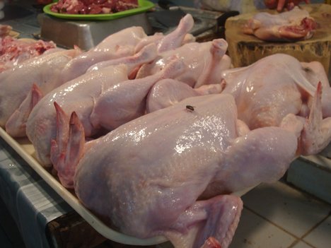 Halal Frozen Whole Chicken