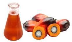 Crude Palm Oil