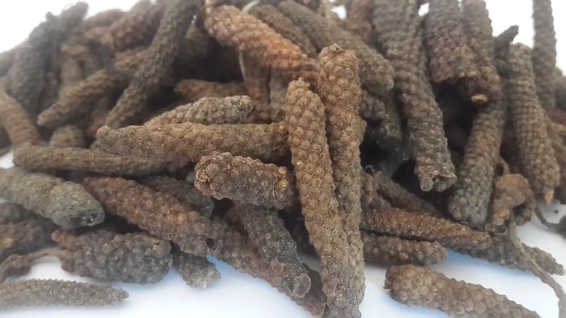 Long Pepper