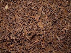 Clove Stems