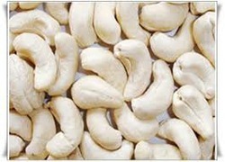 204 cashew nuts, Packaging Type : 10 KG