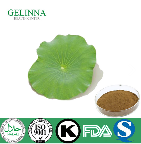 PLANT EXTRACT & Lotus Leaf Extract Supplier | Greena-Bio, xiaan