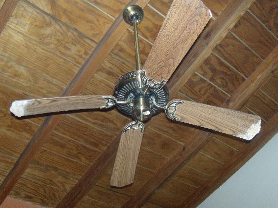 Services Ceiling Fan Repairing Service From Kolkata West Bengal